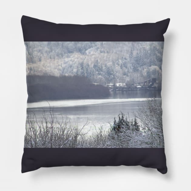 Columbia river and snow 2 Pillow by DlmtleArt