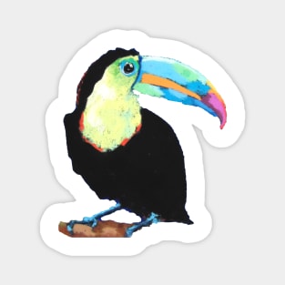 Toucan pastel Magnet