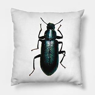 Black False Mealworm Beetle Pillow