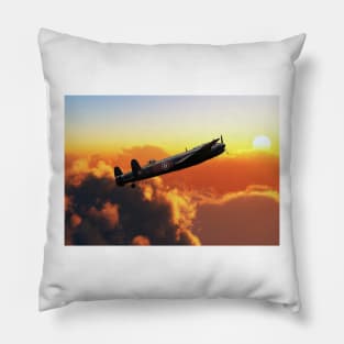 Evening flight Pillow