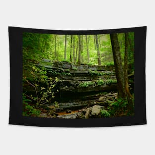 Little Waterfall Tapestry