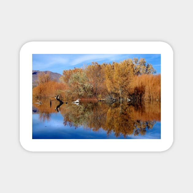 Reflective Moments Magnet by VKPelham