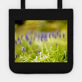 MUSCARI Tote