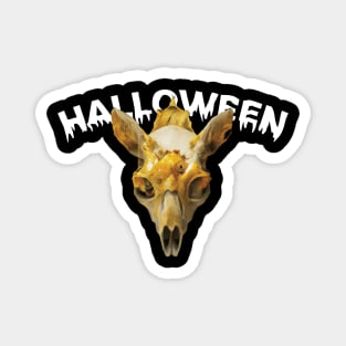 gold skull halloween artwork Magnet