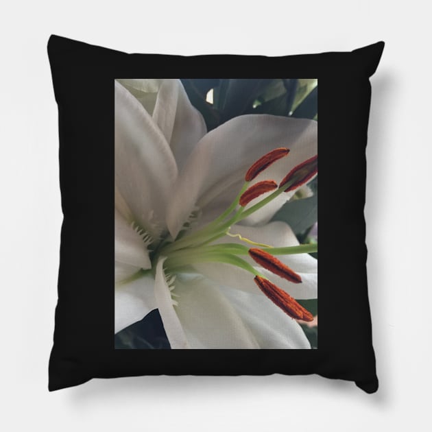 Soothing, Relaxing, Pure White Oriental Lily - For Friendship and Weddings Pillow by Bucklandcrafts