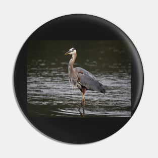 Great Blue Heron Pin