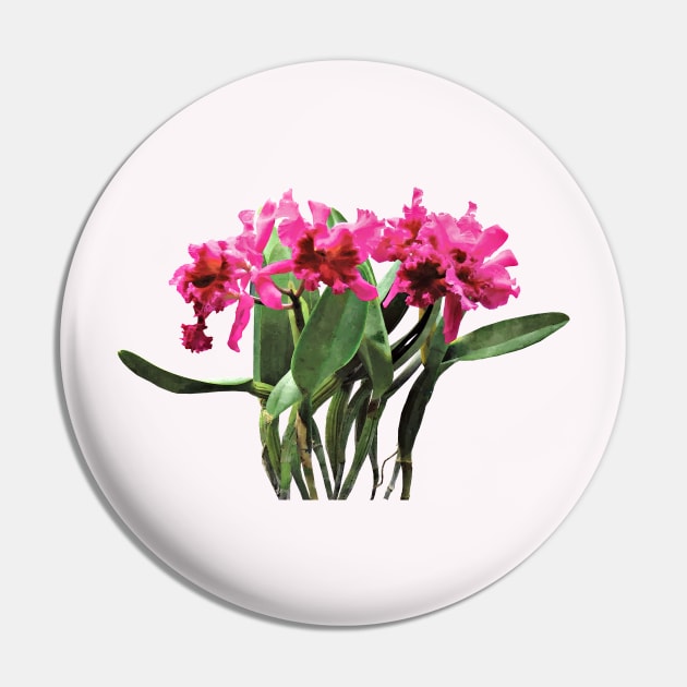 Orchid Chorus Line Pin by SusanSavad