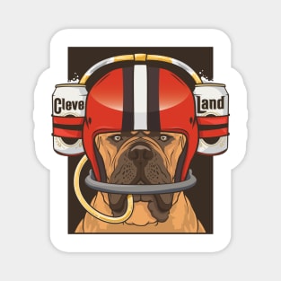 Cleveland Beers Magnet