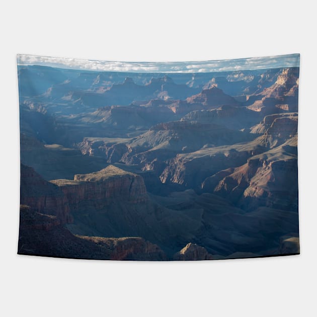 Grand Canyon Tapestry by Just In Tee Shirts