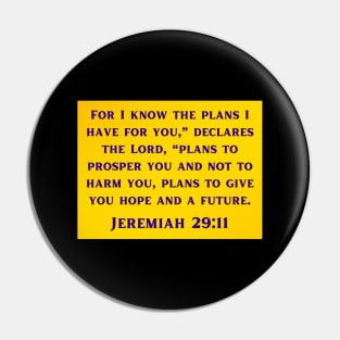 Bible Verse Jeremiah 29:11 Pin