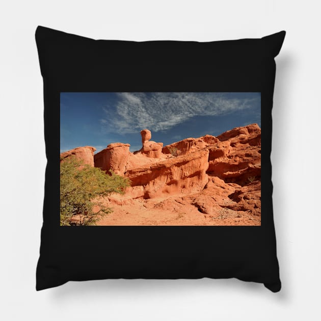 Argentine - Quebrada de las Conchas Pillow by franck380