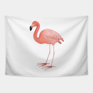 Flamingo Tapestry