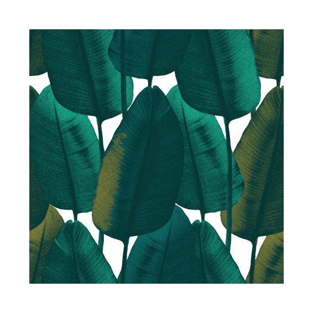 Dark summer tropical textural leaves. Vibrant banana leaves. Night jungle foliage by likapix