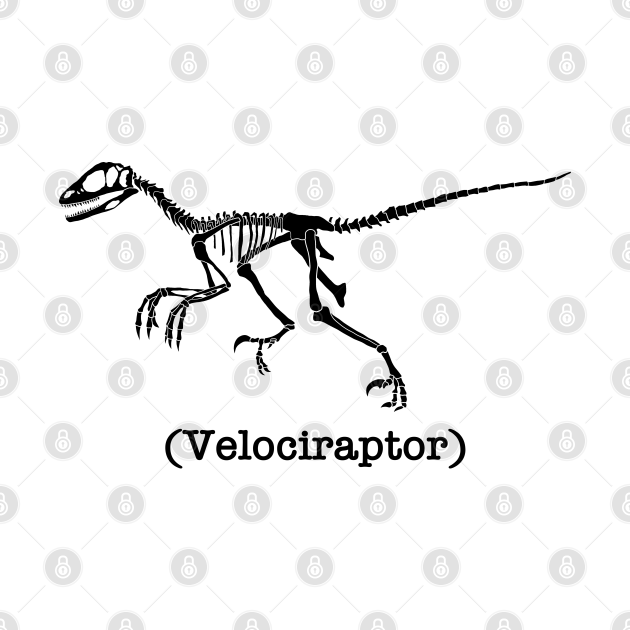 Raptor Fossil in black - Velociraptor - T-Shirt | TeePublic