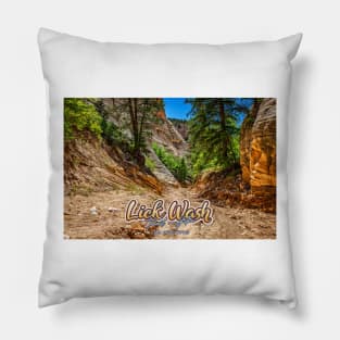 Lick Wash Trail Hike Pillow