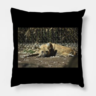 African Wild Dog Pillow