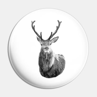 Monarch of the Glen (B&W) Pin