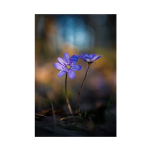 Beautiful anemone hepatica flower in the forest T-Shirt