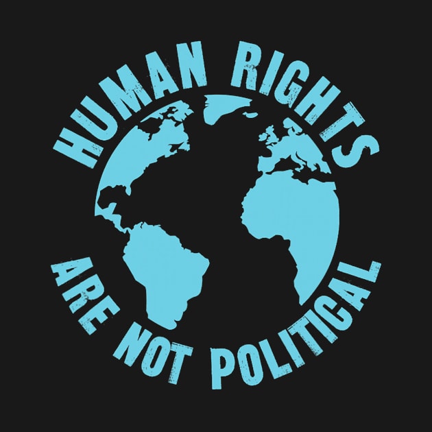 Human Rights Are Not Political Equality by Delsman35