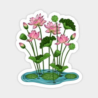 Lotus Flowers Magnet