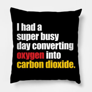 I Had A Super Busy Day Converting Oxygen' Science Pillow