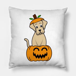 Funny Big Dog is in a pumpkin Pillow