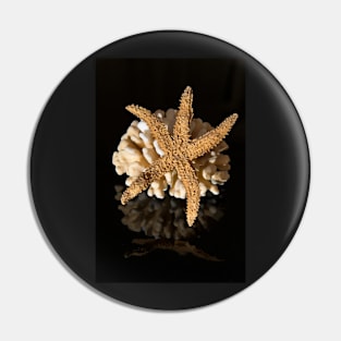 Corals and sea star on black reflective background Pin