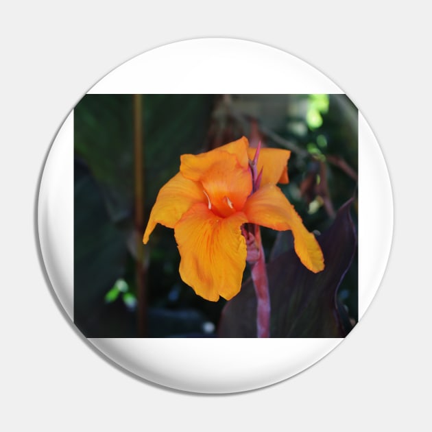 Orange Canna Lily Pin by Cynthia48