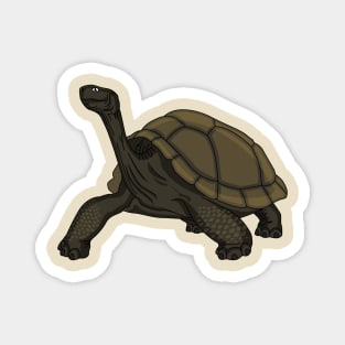 Galapagos land tortoise illustration Magnet