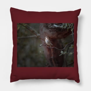 Yellow-rumped Warbler At Water Spout Pillow