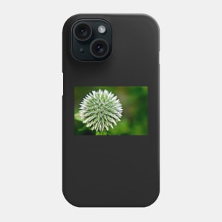 Globe Thistle (Echinops) Seed head Phone Case