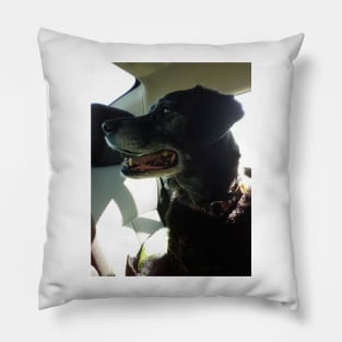 Britt Britt Pillow