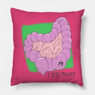 Poopy Day Pillow