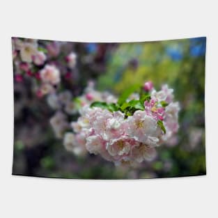 Spring Cherry Blossoms in Portland Tapestry