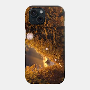 Avenue to the Castle Phone Case