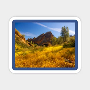 Pinnacles National Park Magnet