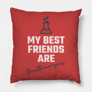 My best friends are brettanomyces, Craft beer, belgian beer, Brett beer Pillow