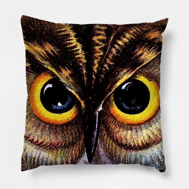 Owl Vision Pillow by StickSicky