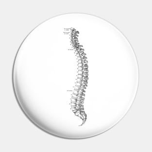 Human Body - Spine Pin