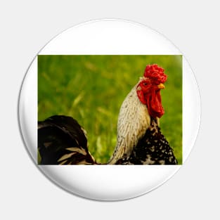 122515 Gallo Pin