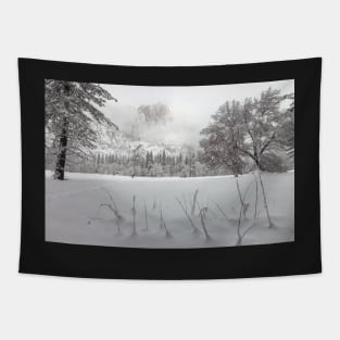 Winter Tapestry