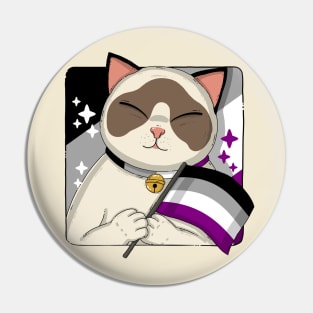 Cute Ragdoll Cat Holding Asexual Pride Flag Pin