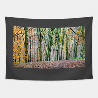 Autumn Woods Tapestry