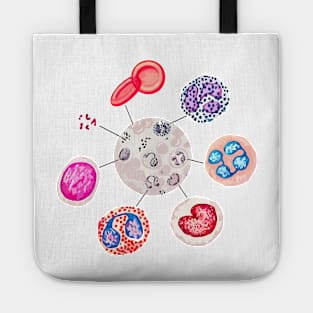 Blood cells. RBCs. WBCs, Basophil, Platelet, thrombocyte, Neutrophil, B-Lymphocyte, Monocyte, Eosinophil. Tote