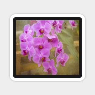 Flowing Orchids - Purple Flowers Magnet