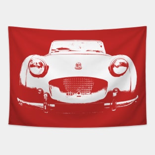 Triumph TR2 1950s British classic car monoblock white Tapestry