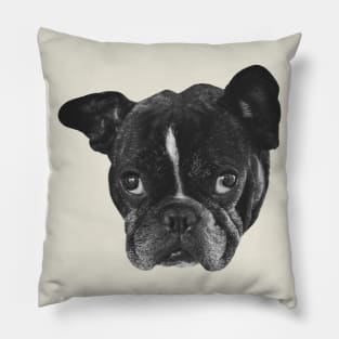 Boston Terrier Dog head Pillow