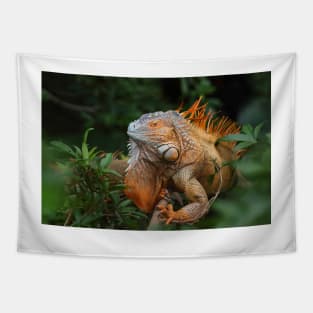 Green Iguana Tapestry