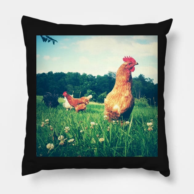 The Secret Life of Chickens Pillow by oliviastclaire