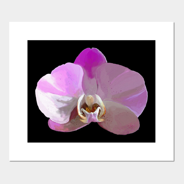 Orchid Flower Lover Beautiful Painting Purple White Art Calm